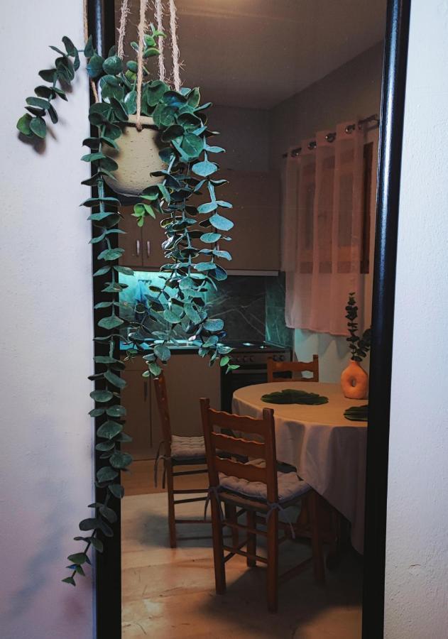 Kaminaki Seaview Apartments Katavolos Экстерьер фото